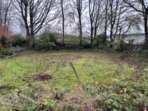 Photo 2- click for photo gallery